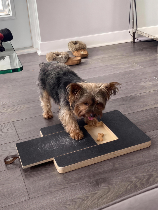 Small dog filing its nails on the Furlette scratch board at home