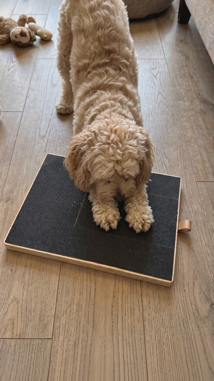 Dog scratching the closed Furlette nail board with both front paws to reach the treat, seen from above